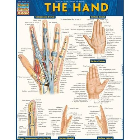 BARCHARTS BarCharts 9781423220220 The Hand Quickstudy Easel 9781423220220